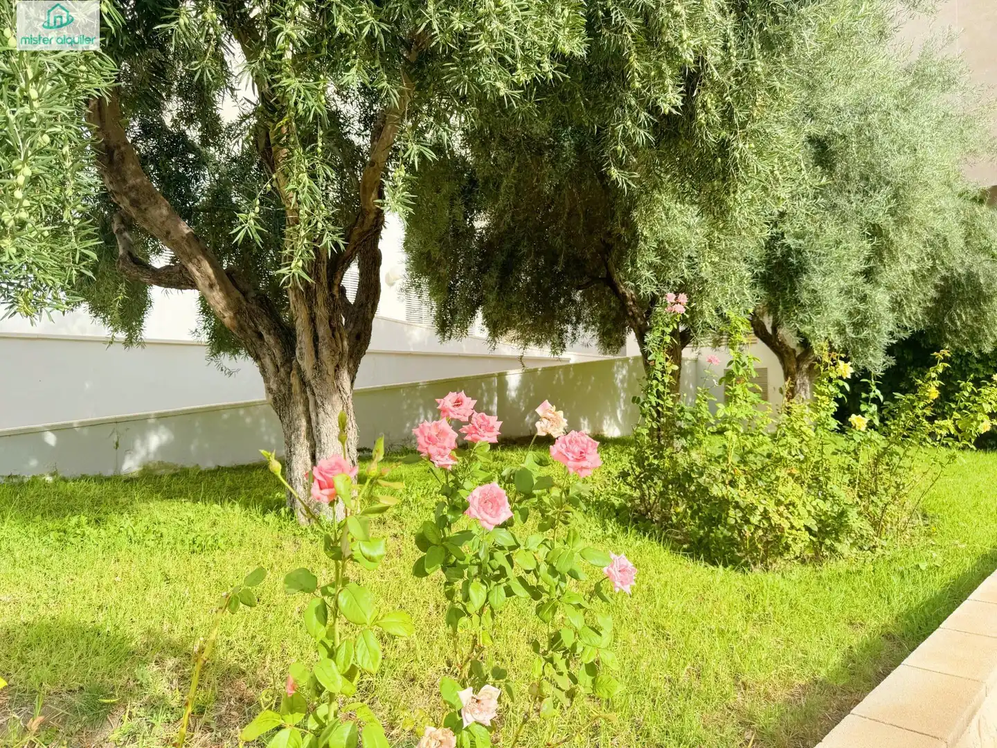 Jardín de Apartamento de alquiler en El Campello con Aire acondicionado, Jardín privado y Terraza