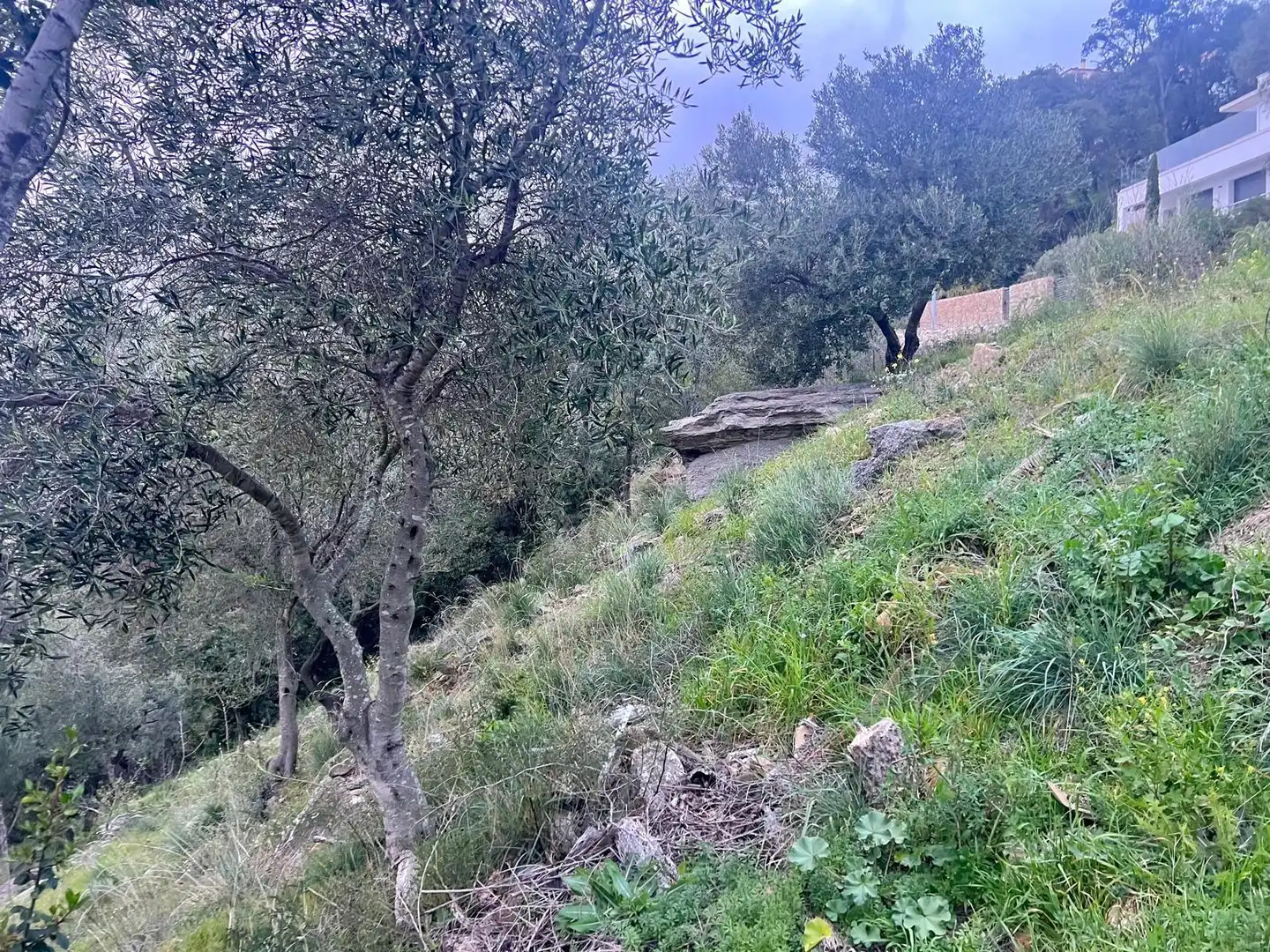 Terrenys i solars en venda a Pasaje de Marià Aguiló 19, imagen 29