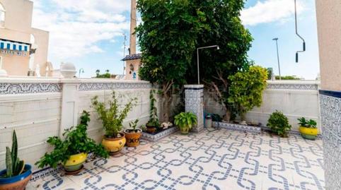 Foto 4 de Planta baixa de lloguer a Cañada del Molino, Alicante