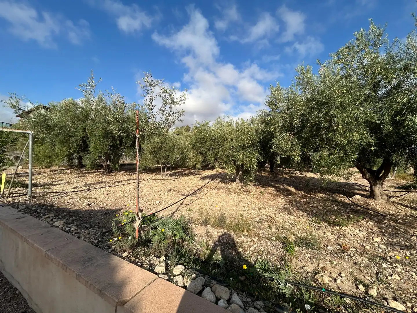 Villa avec piscine à vendre à Partida HORNA BAJA, imagen 15