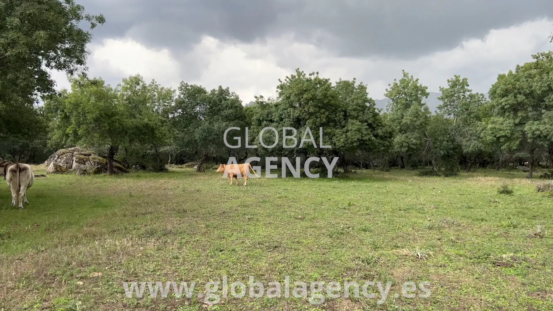 Rural land for sale in Soto del Real, imagen 21