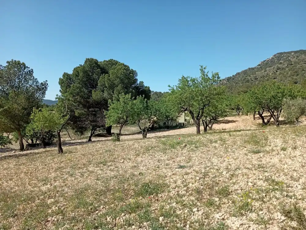 Piso en venta en Salinas