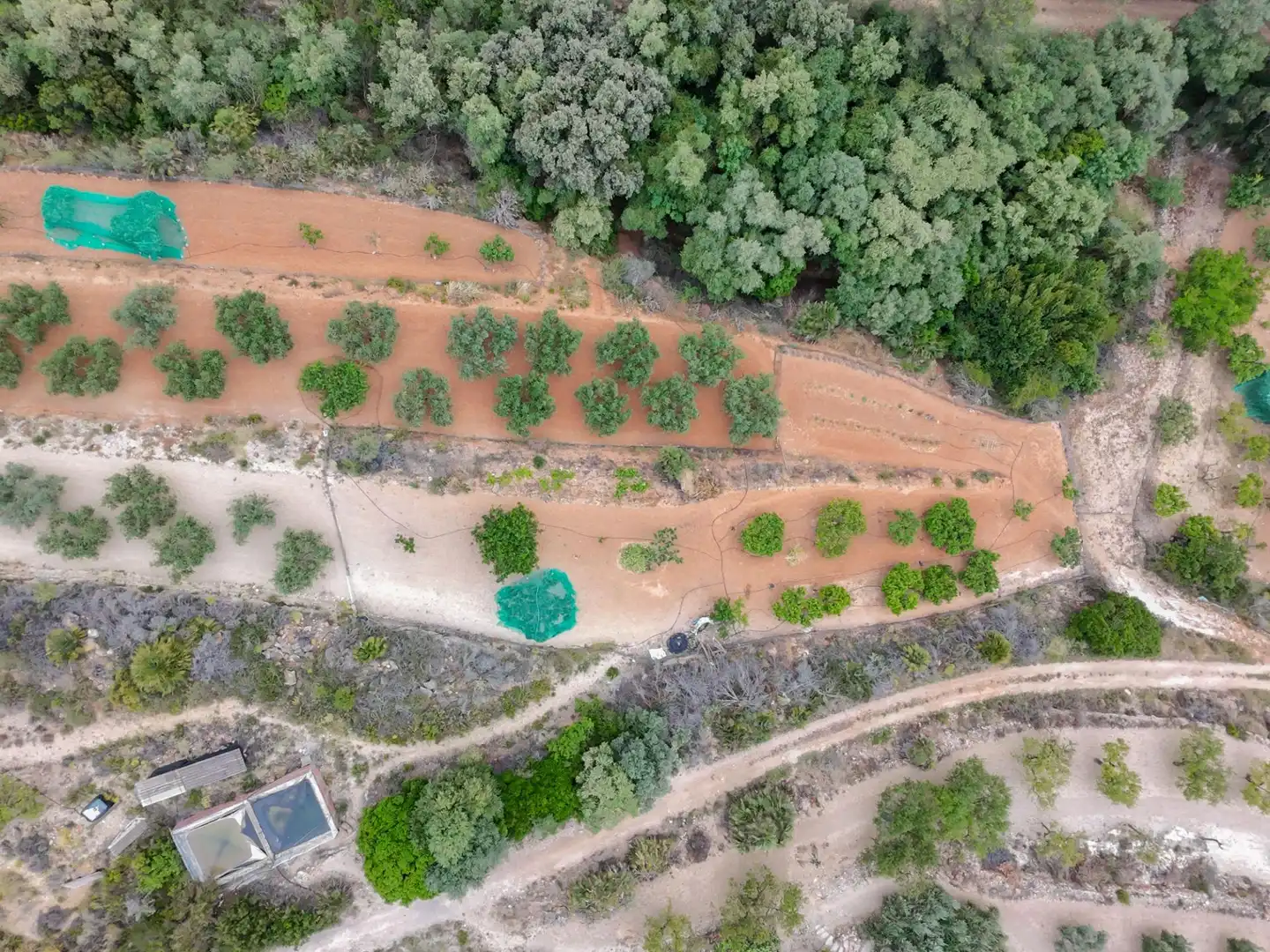 Finca rústica en venda en Benlloc amb Jardí privat, Terrassa i Traster