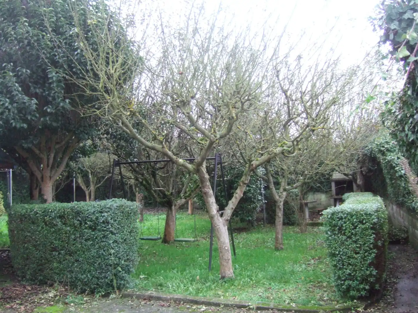 Jardín de Casa o chalet en venta en Lugo con Calefacción y Amueblado