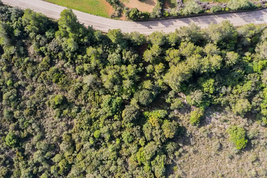 Terreno en venta en Capdepera