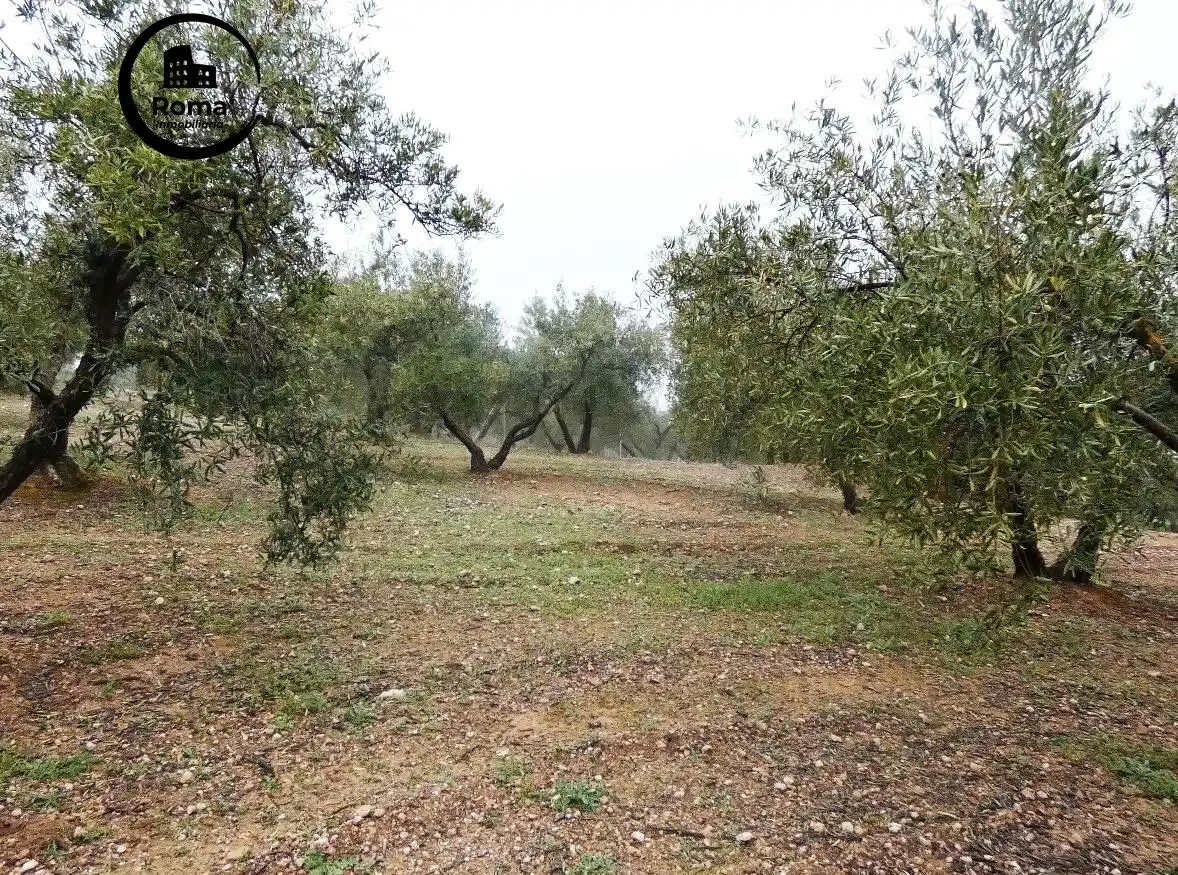 Terrain rustique à vendre à Peligros, imagen 9