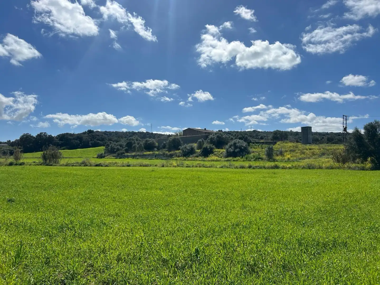Casa rústica con jardín en venta en Manacor Centre, imagen 6