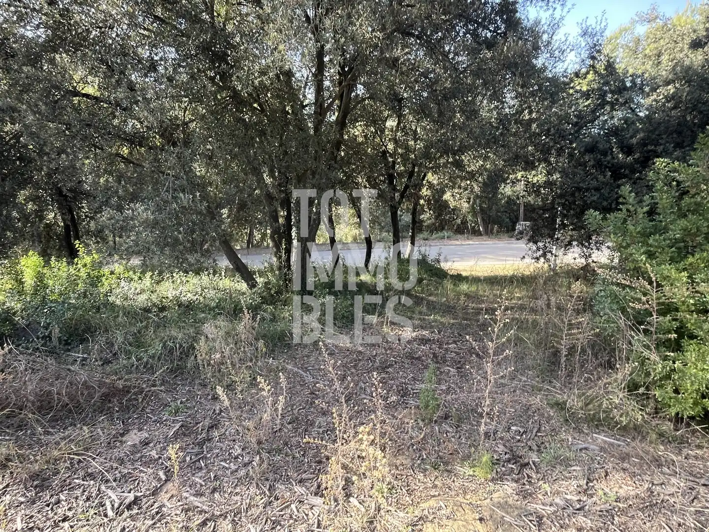 Lands and plots for sale in Sant Julià de Ramis, imagen 5