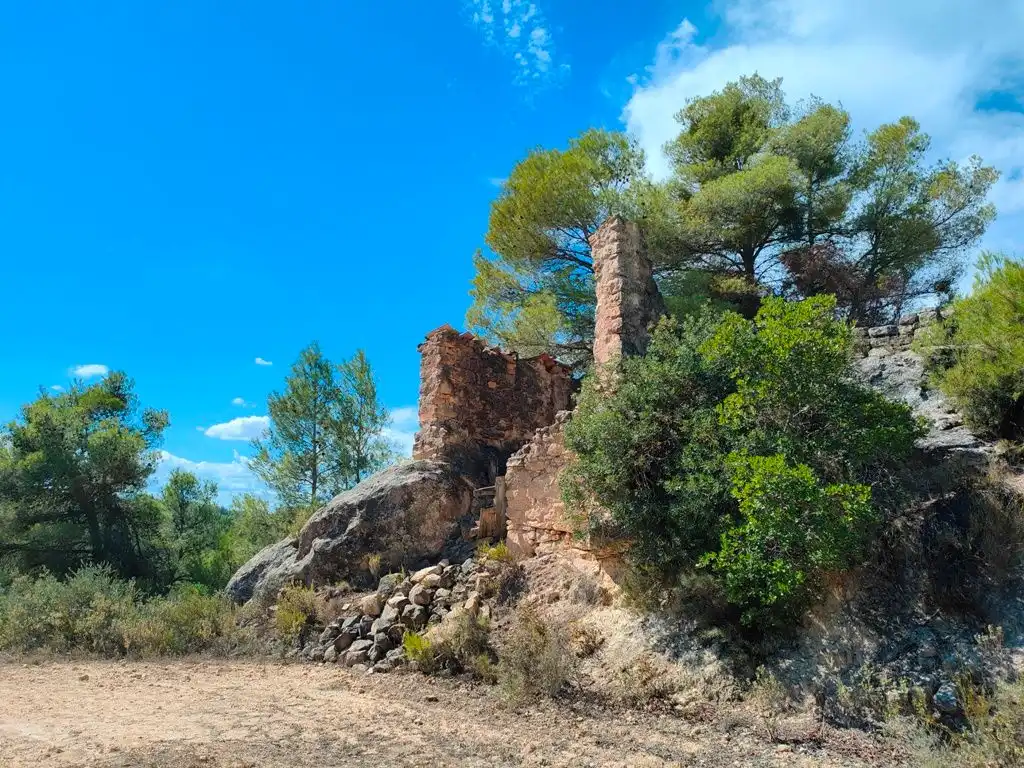 Rural land for sale in Horta de Sant Joan, imagen 6
