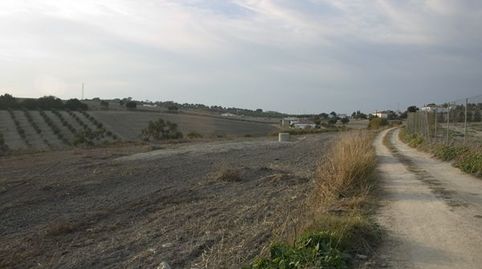 Foto 2 de Finca rústica en venda a Arcos de la Frontera, Cádiz