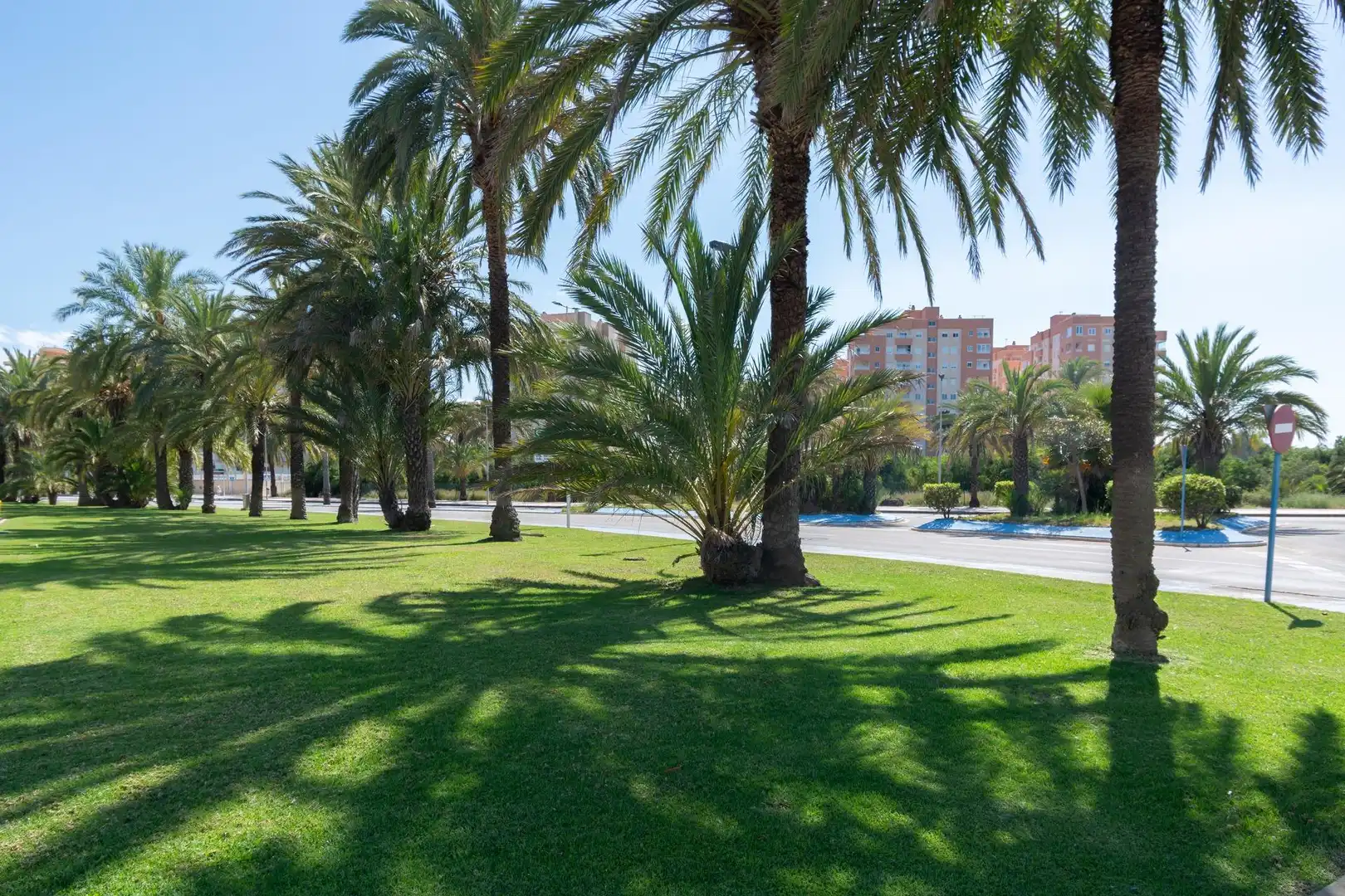 Local comercial en venta en ALDEAS DE TARAY (MANGA) 1, imagen 11