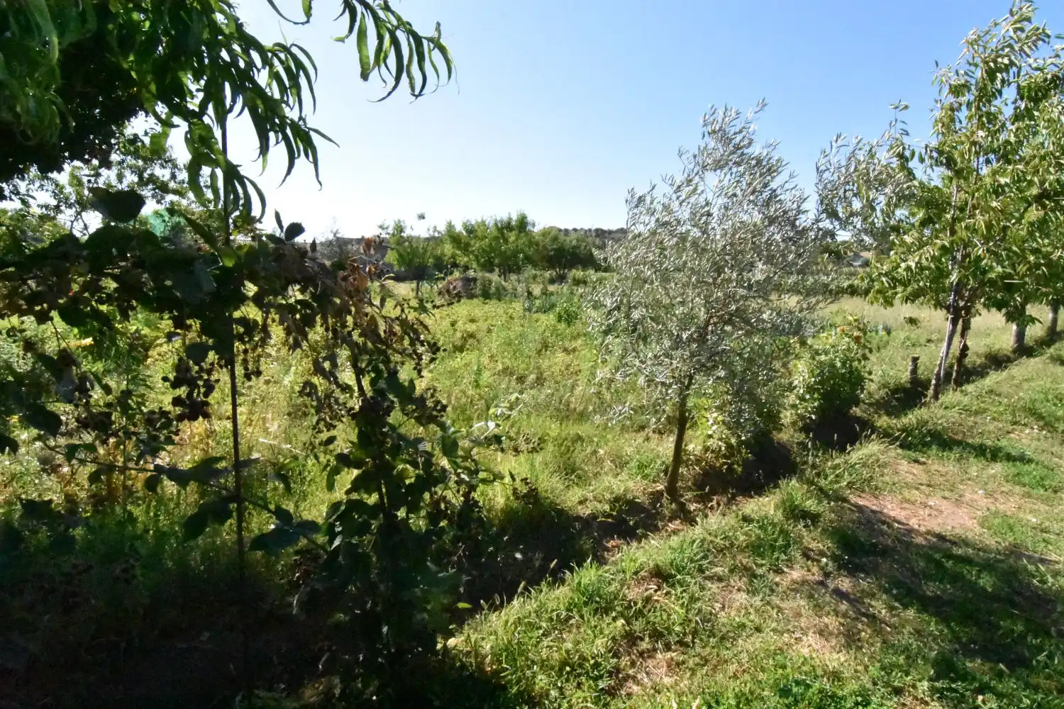 Finca rústica en venta en Ciudad Rodrigo