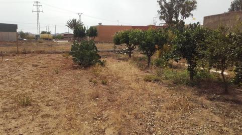 Foto 3 de Planta baixa en venda a La Pinilla - Las Palas, Murcia