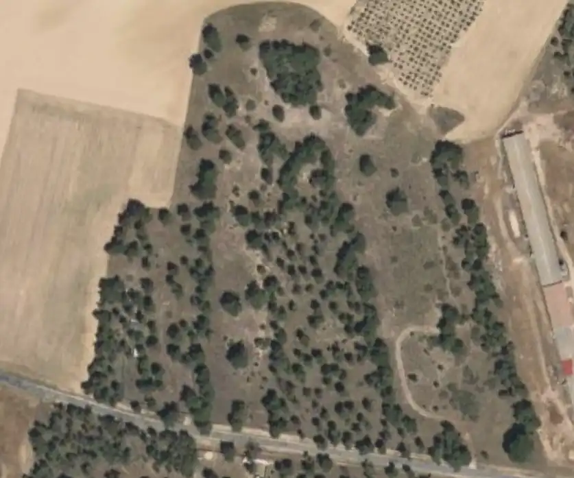 Land for sale in Gutierre-Muñoz