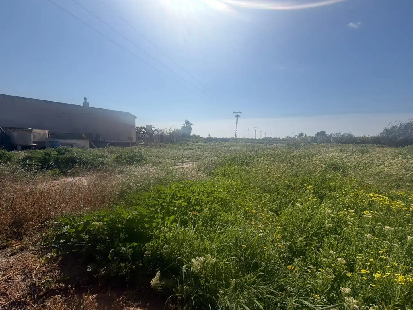 Finca rústica en venta en Almoradí con Trastero