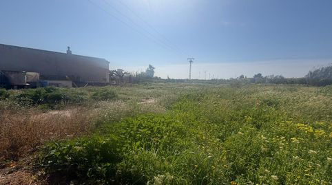 Foto 3 de Finca rústica en venta en Almoradí, Alicante