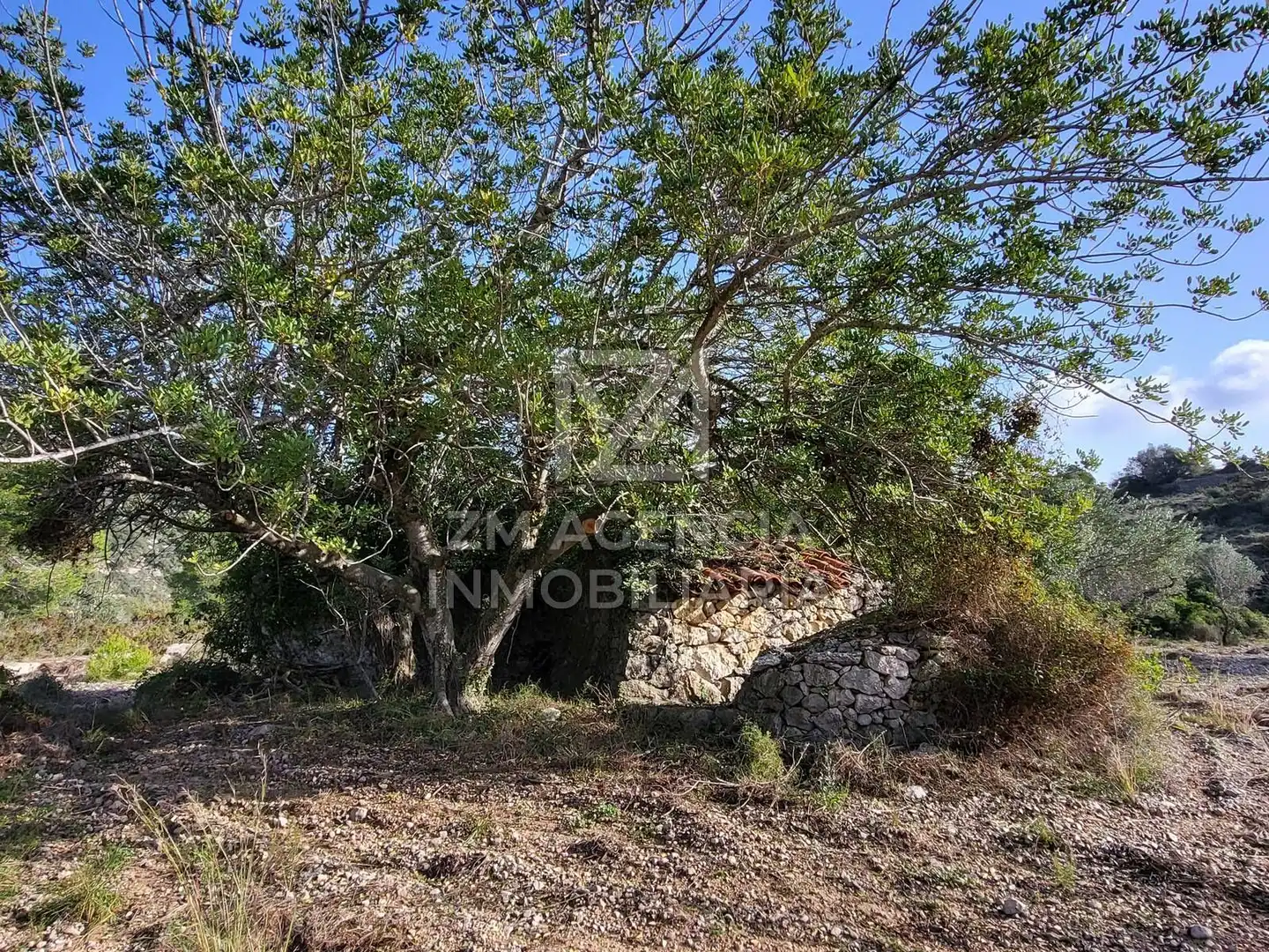 Rural land for sale in Cervera del Maestre, imagen 12