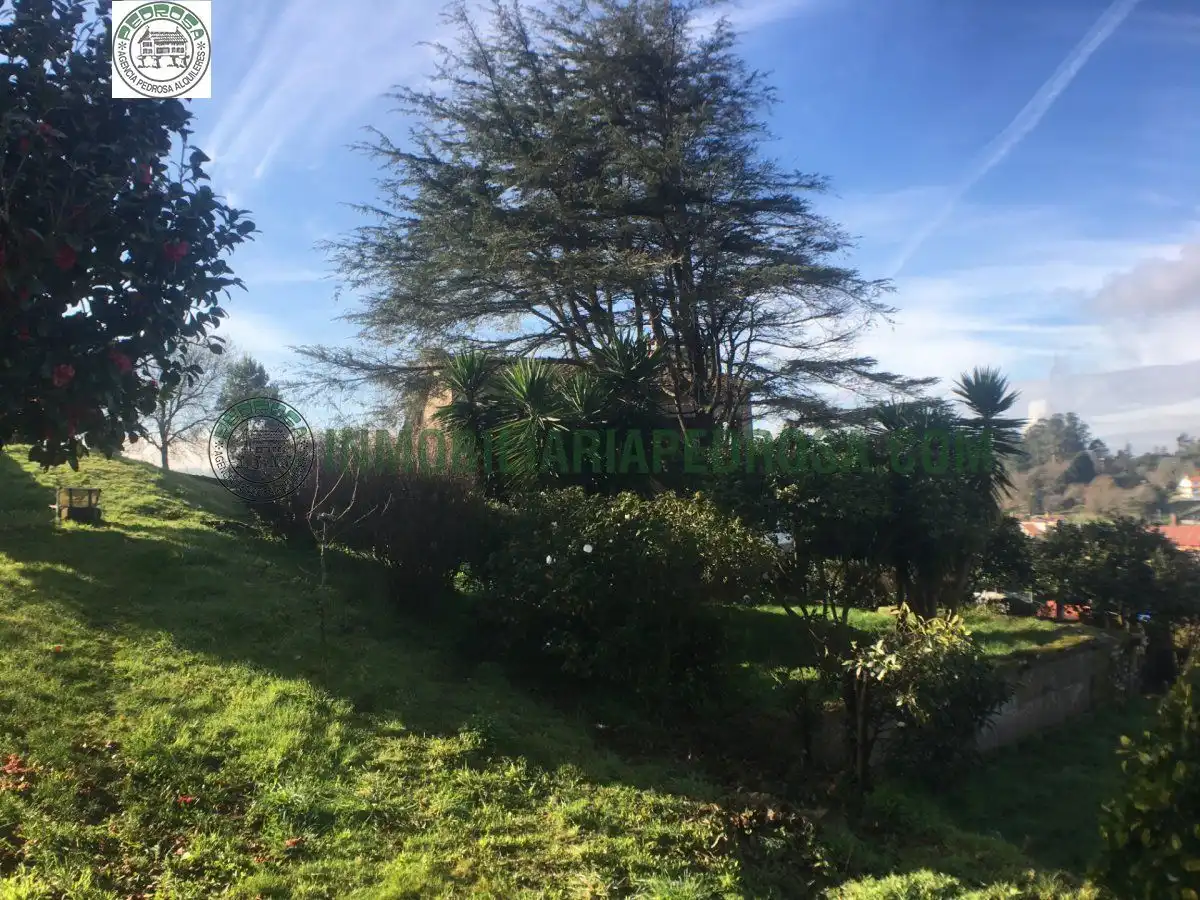Casa o chalet en venta en Zona Fernández Ladreda