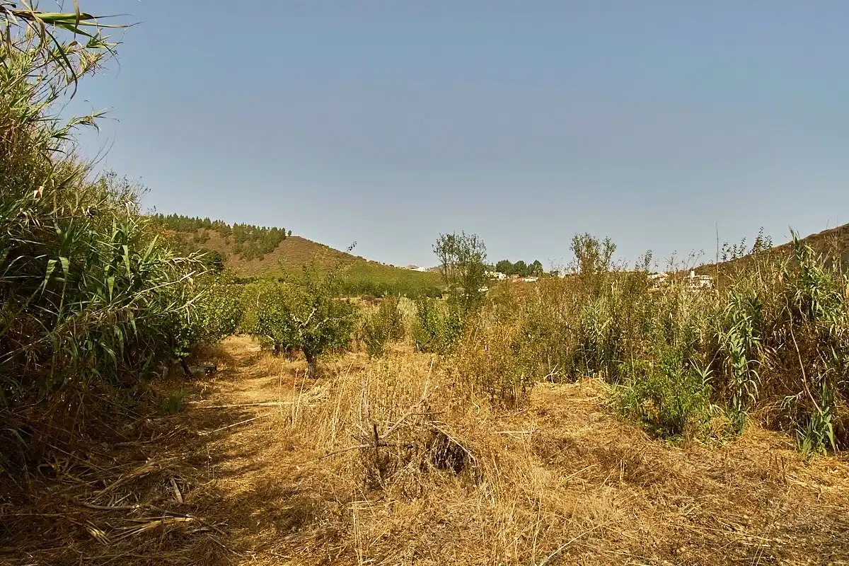 Casa o chalet en venta en Vega de San Mateo con Jardín privado y Terraza