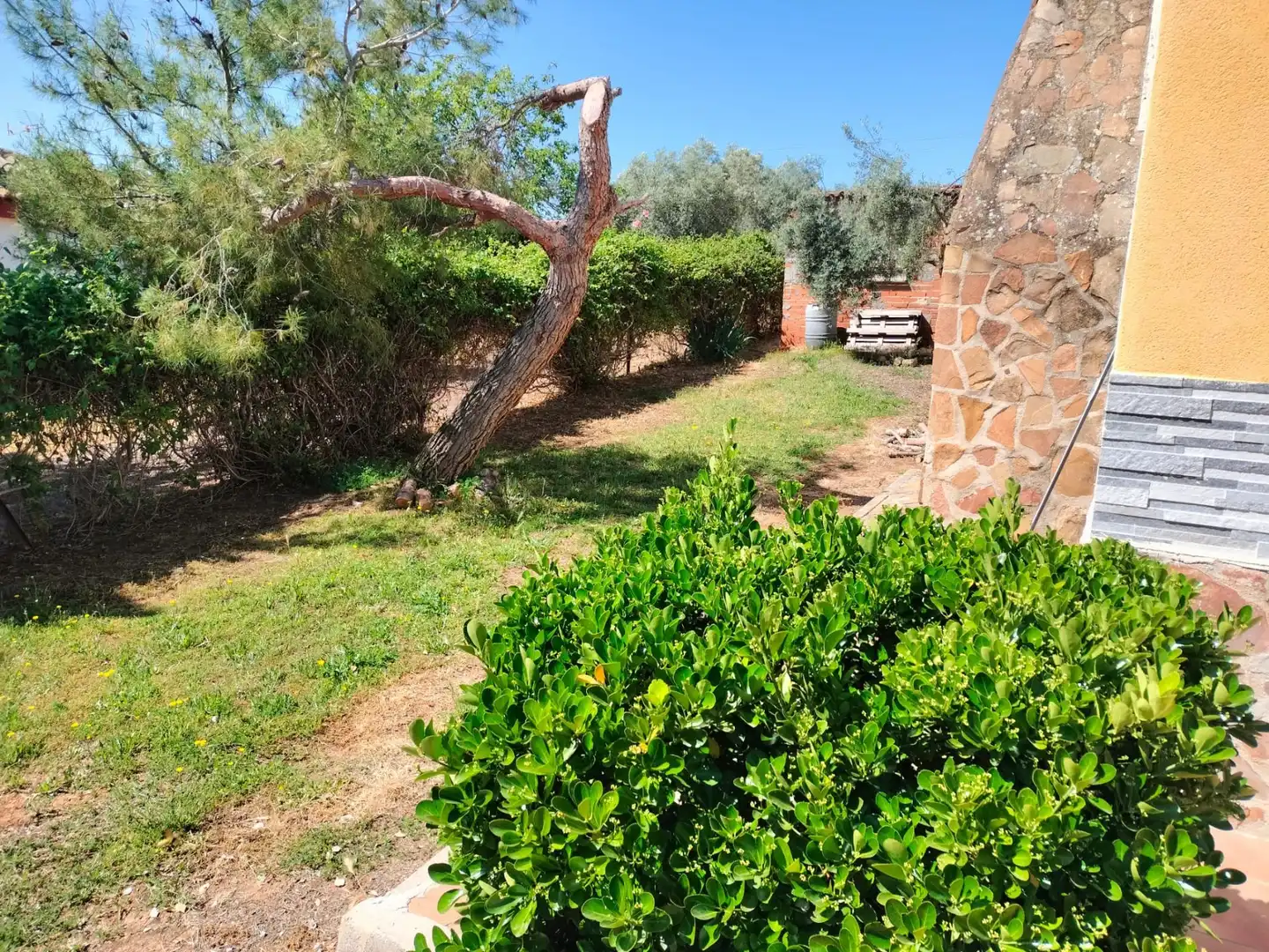 Jardín de Casa o chalet en venta en Almodóvar del Campo con Aire acondicionado, Calefacción y Terraza