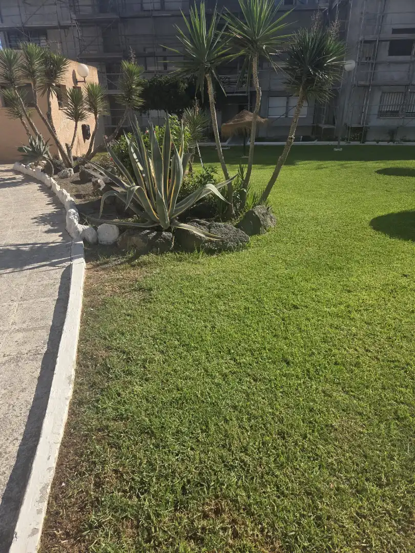 Jardí de Pis en venda en Almería amb Piscina comunitària
