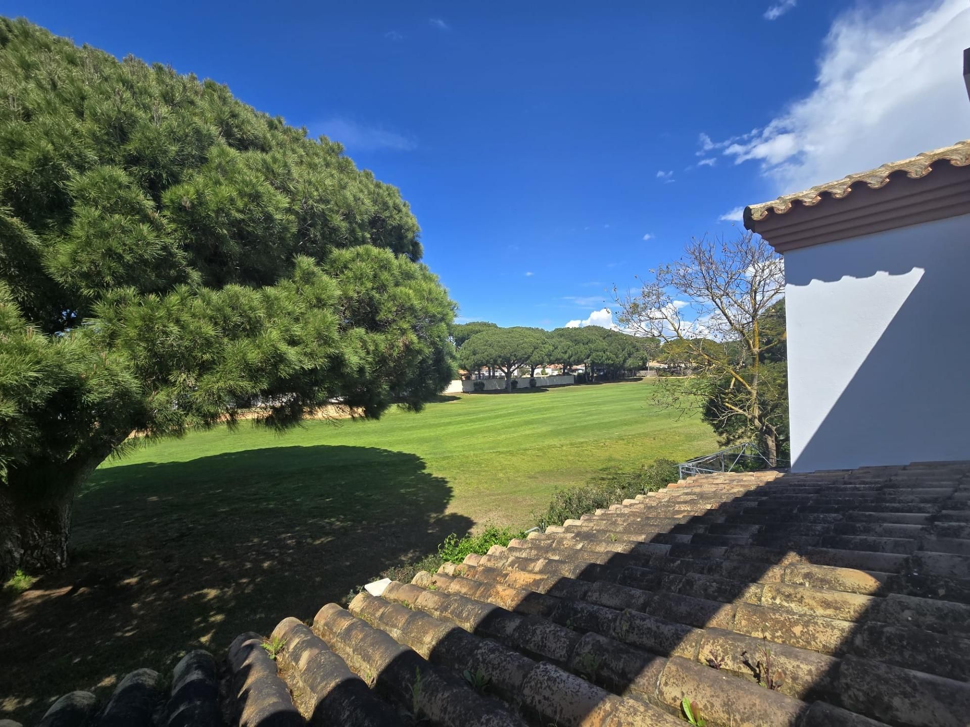 Jardín de Casa o chalet en venta en Chiclana de la Frontera con Jardín privado y Piscina comunitaria