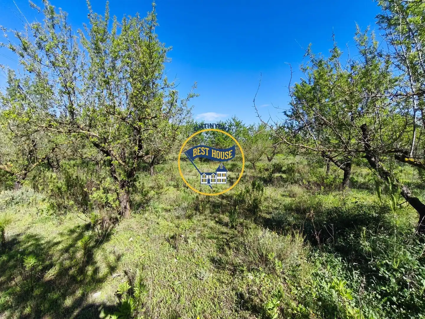 Terreno rustico in vendita a Albaida, imagen 2
