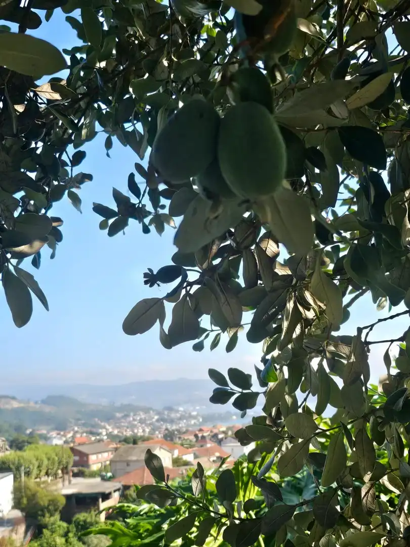 Maison à vendre à Moaña, imagen 12