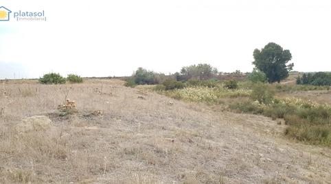 Foto 3 de Finca rústica en venda a Carretera Guillena, Guillena pueblo, Sevilla