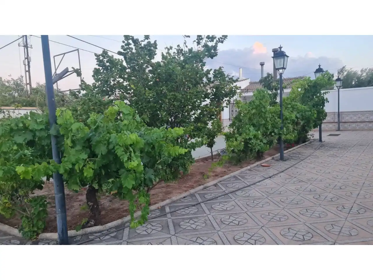 Chalet con piscina en venta en Baza, imagen 4