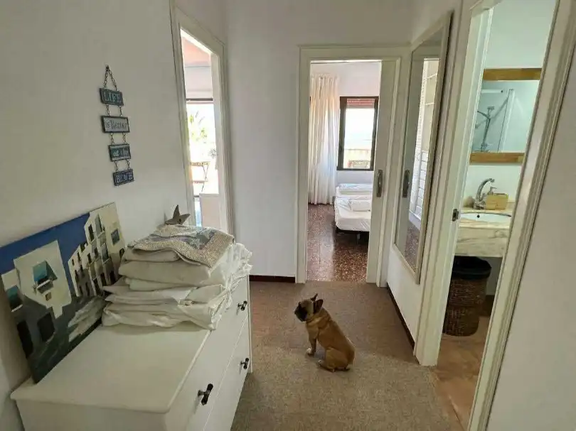 Penthouse zur Miete in cala puntal L 1, imagen 26