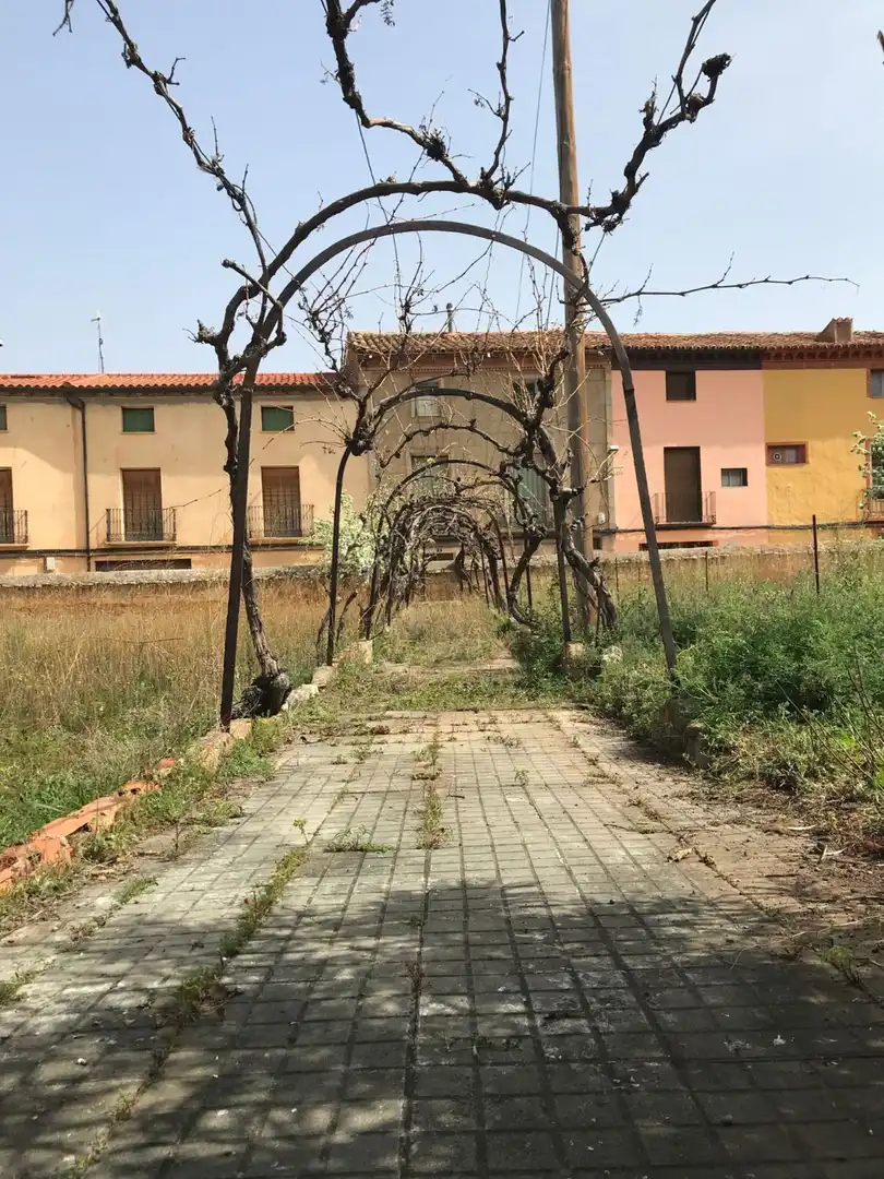 Finca rústica en venta en Cosuenda