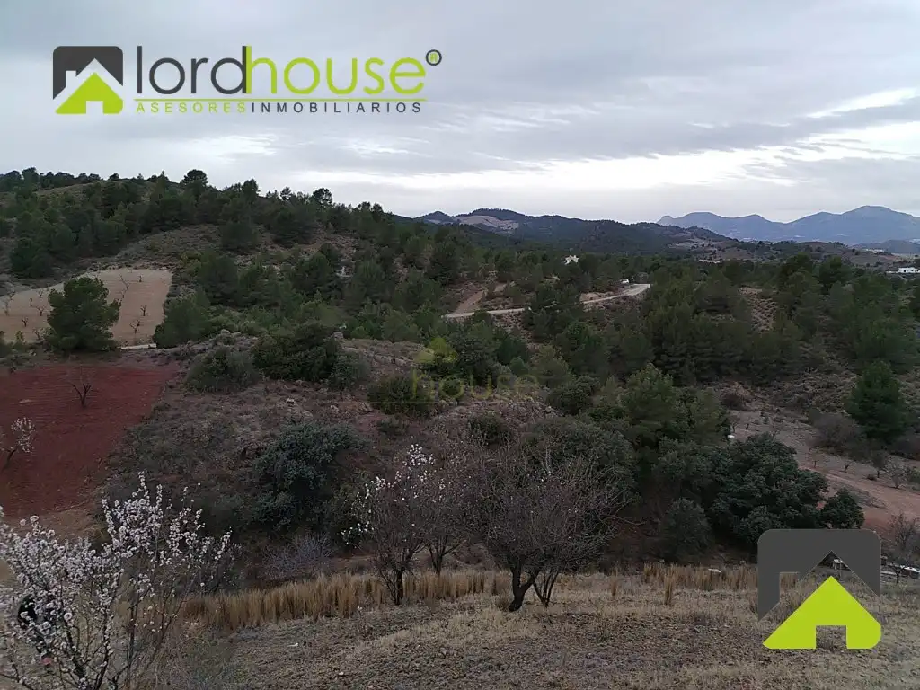 Casa o chalet en venta en Lorca