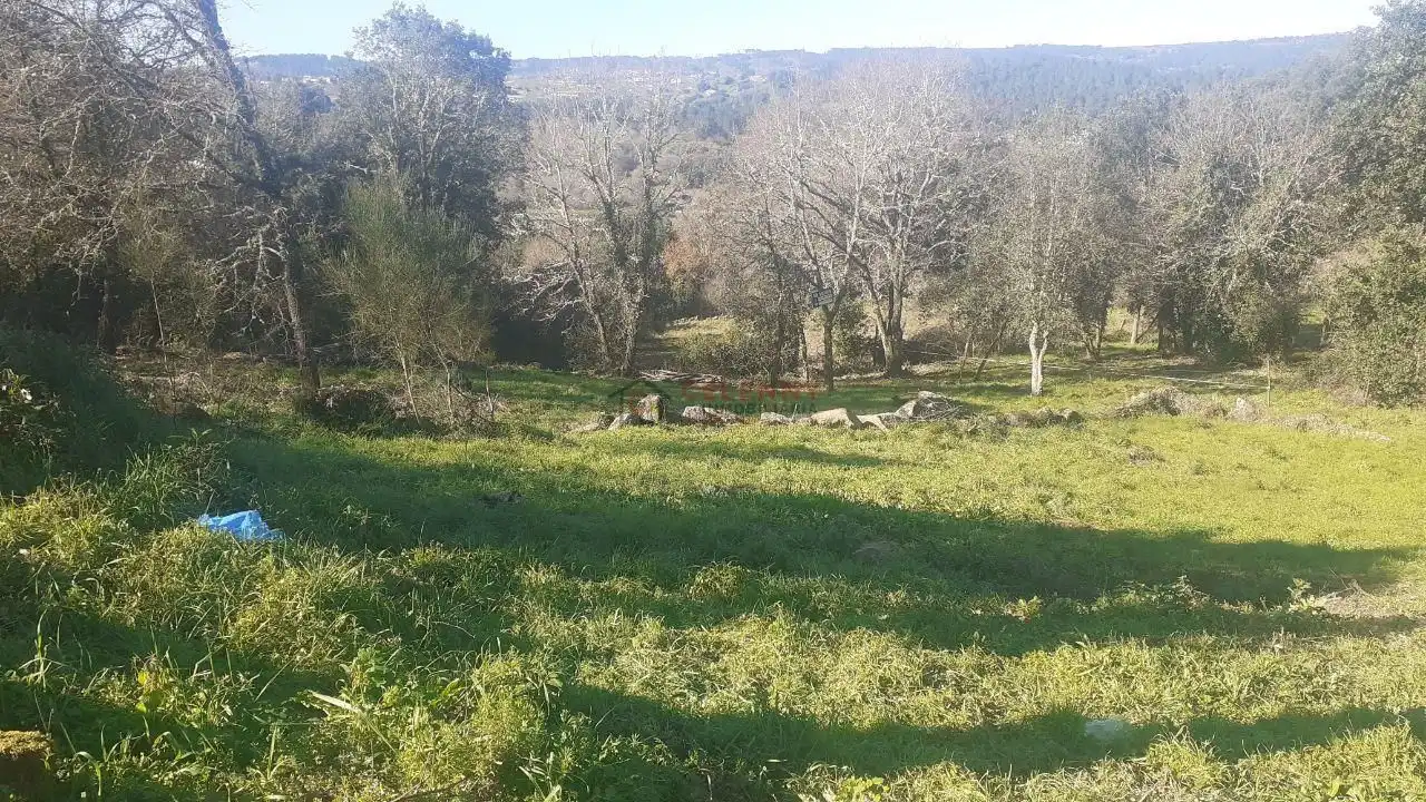 Terreni e lotti in vendita a San Cibrao das Viñas, imagen 2