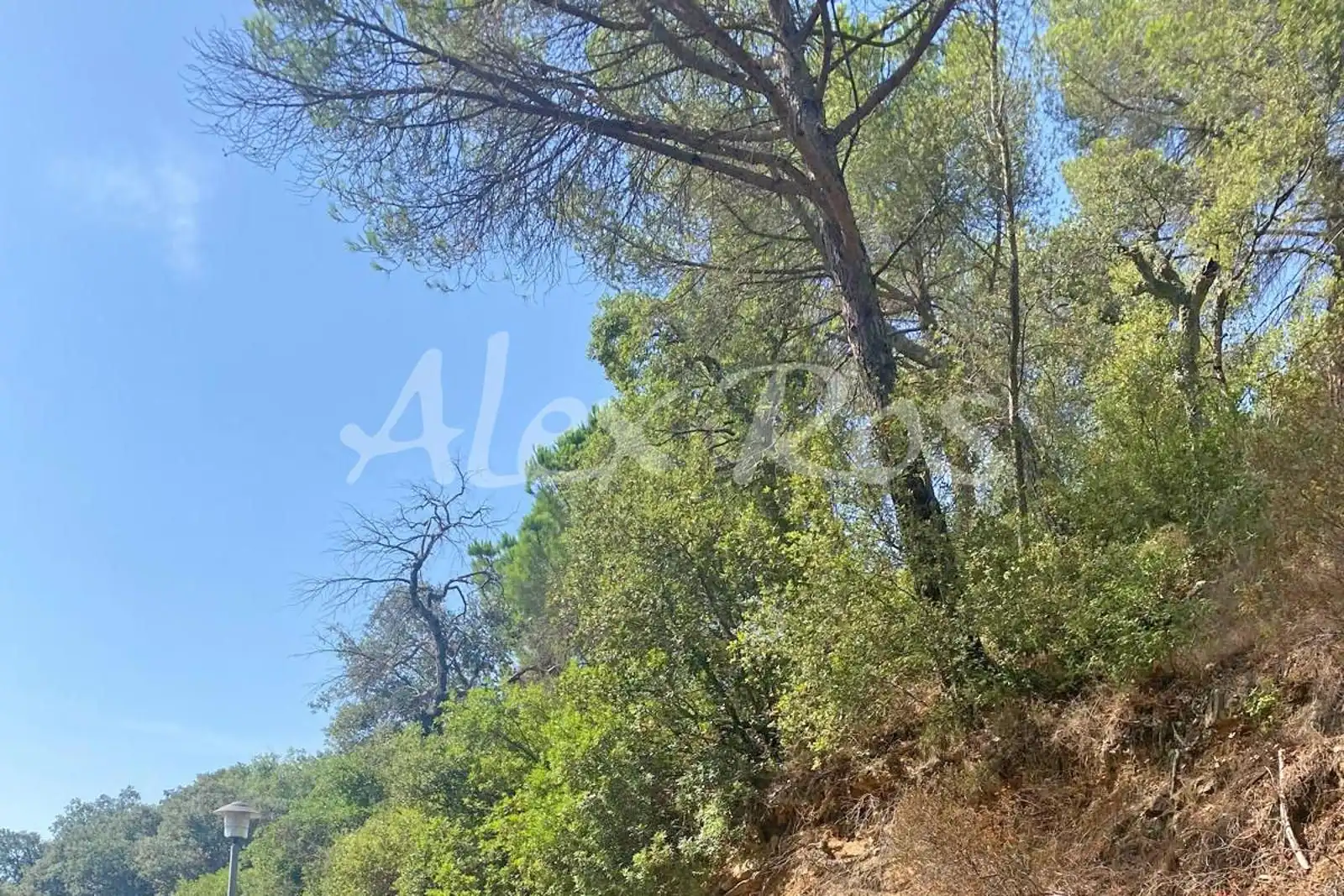 Casa con piscina en venta en Poble, imagen 12