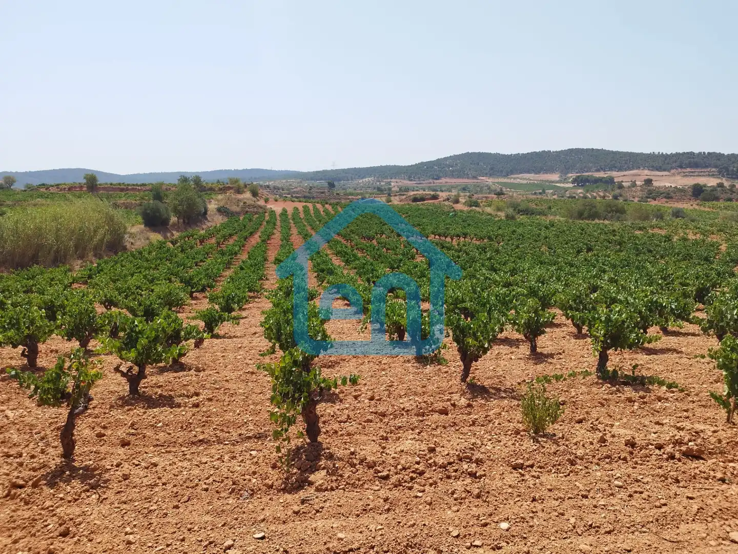 Terreno rustico in vendita a Requena, imagen 8