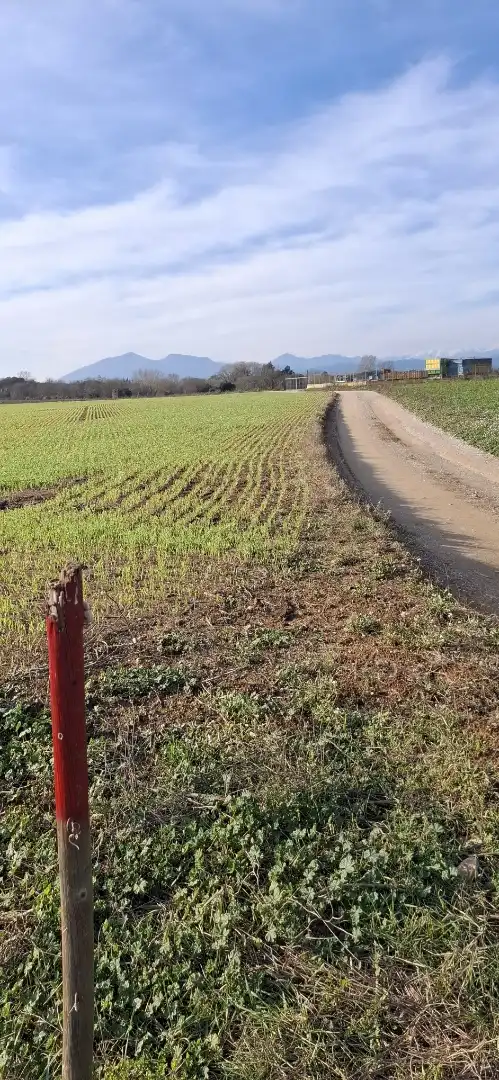 Terreno en venta en Vilafant