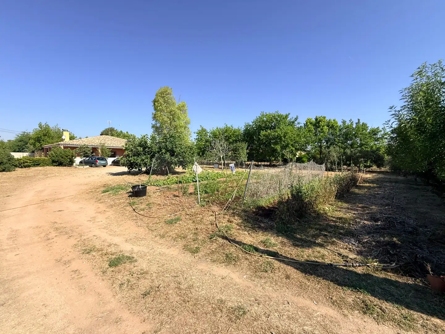 Finca rústica en venda en Tomelloso amb Jardí privat, Piscina i Moblat