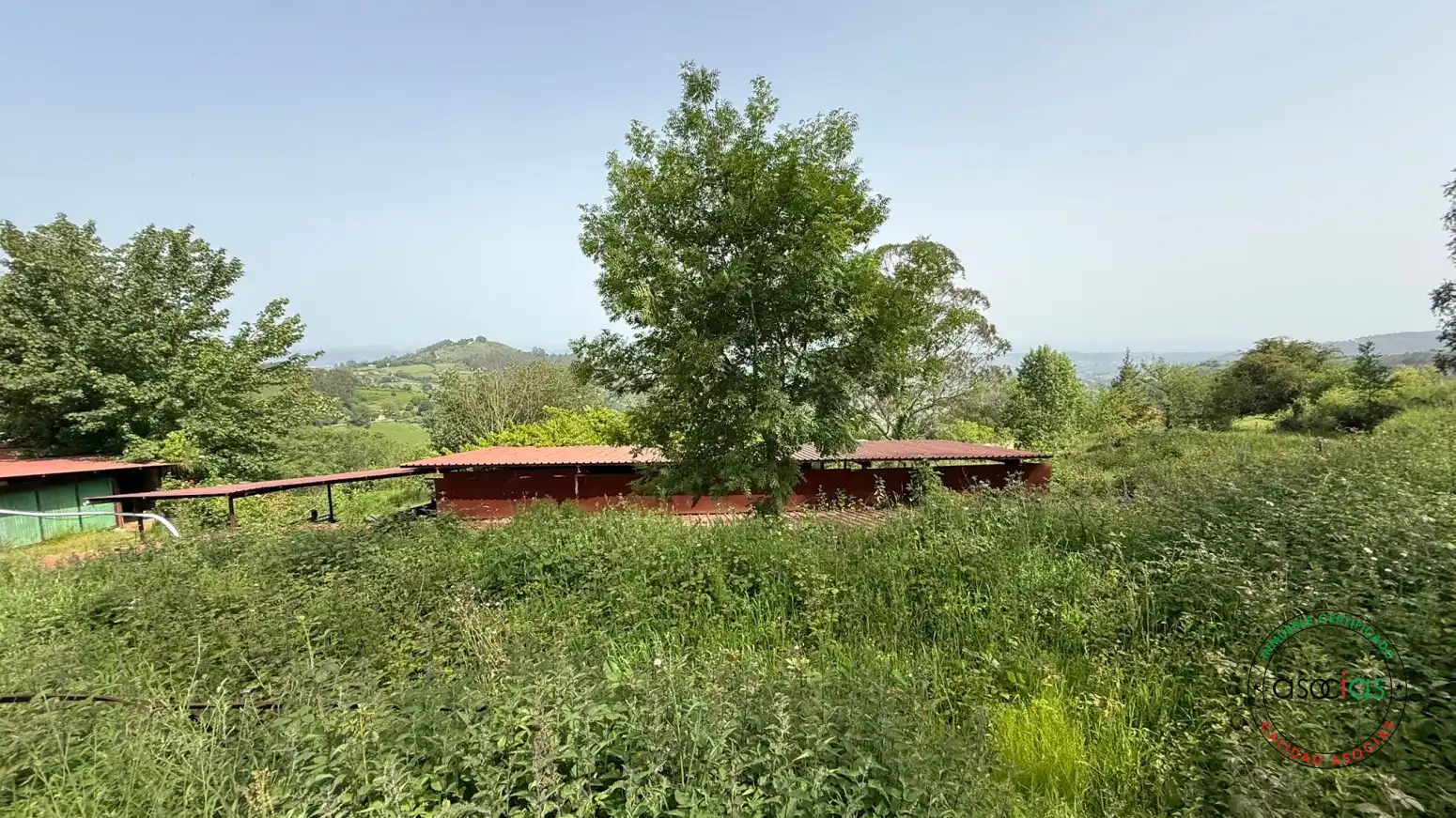 Exterior view of Industrial buildings for sale in Siero