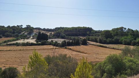 TERRENO EN VENTA EN MURO, imagen 5