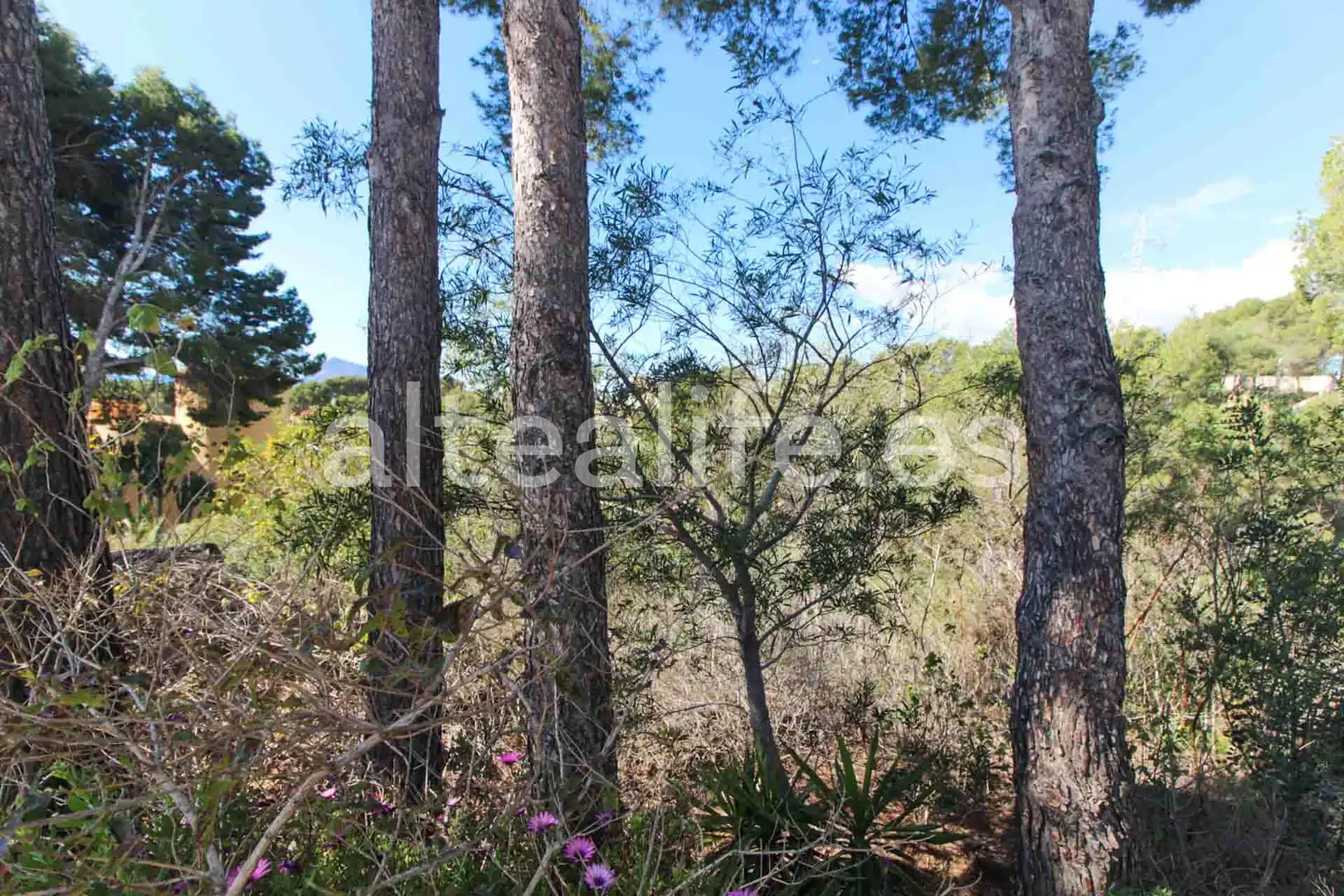 Residencial en venta en Altea
