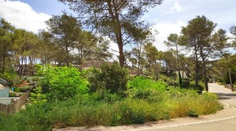 Terreno en venta en Mas Mestre. Olivella