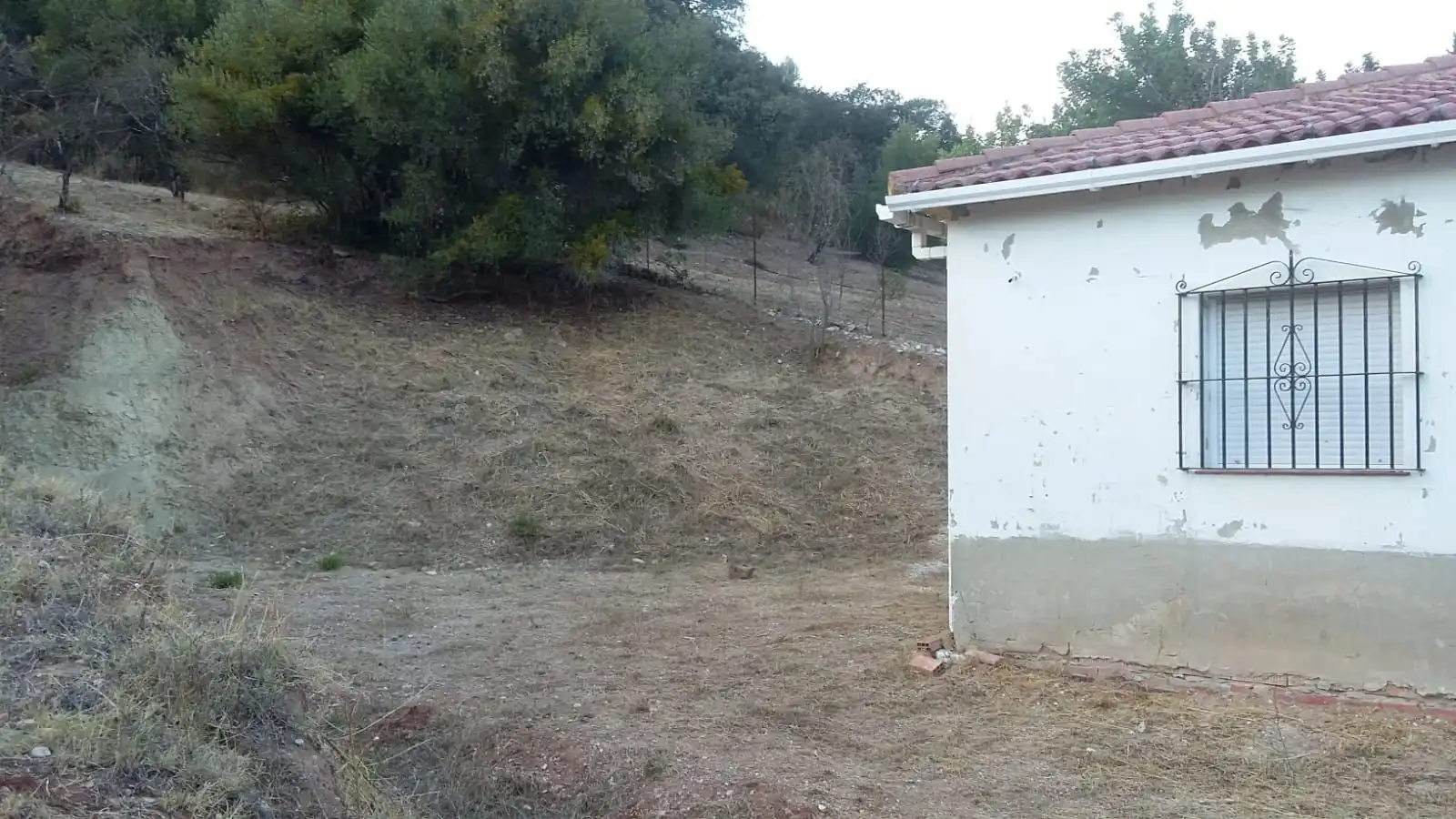 Finca rústica en venta en Jimera de Líbar