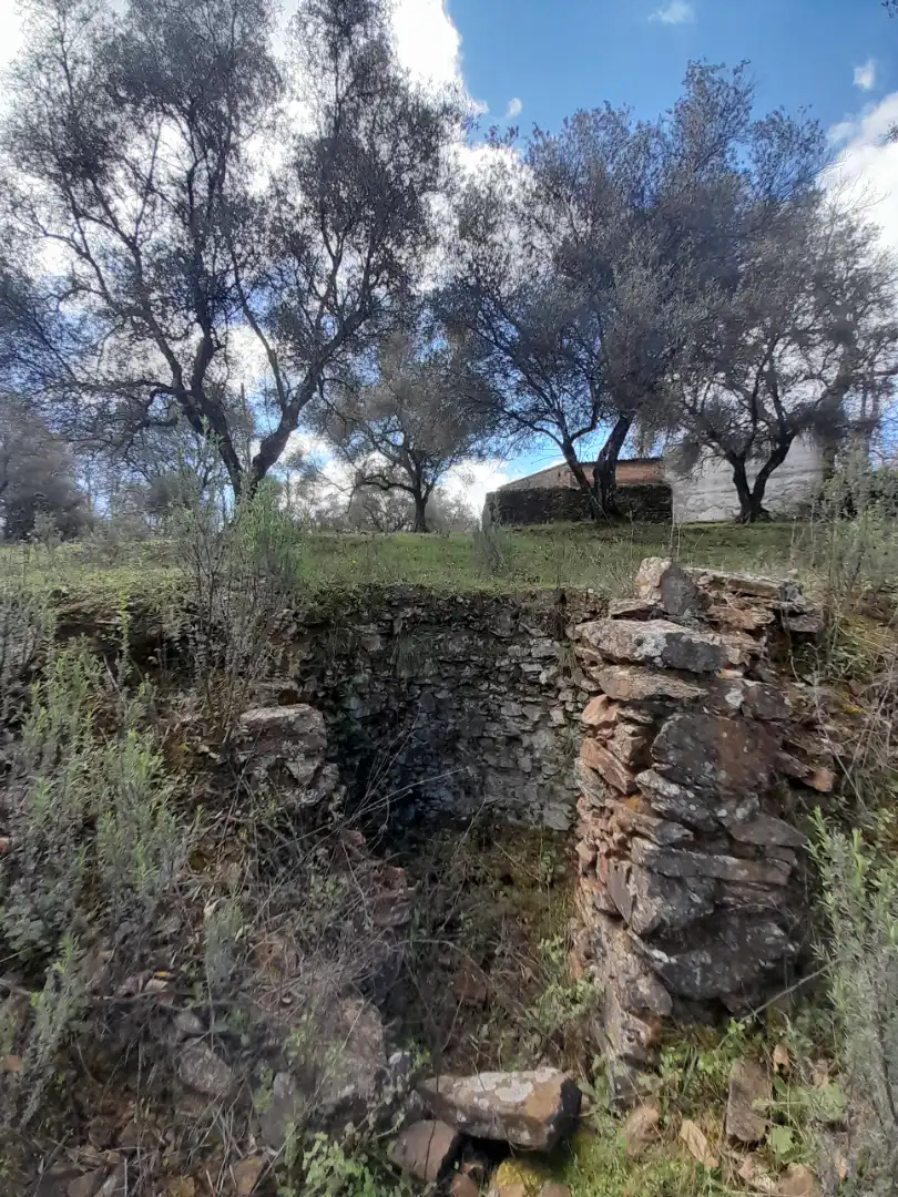 Terreno en venta en Aracena