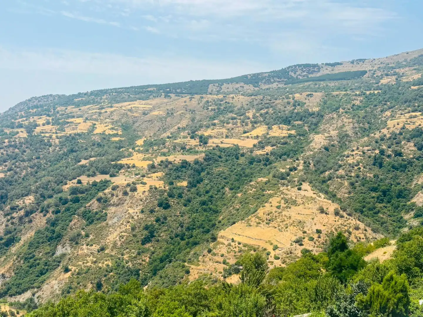 Finca rústica en venta en Capileira
