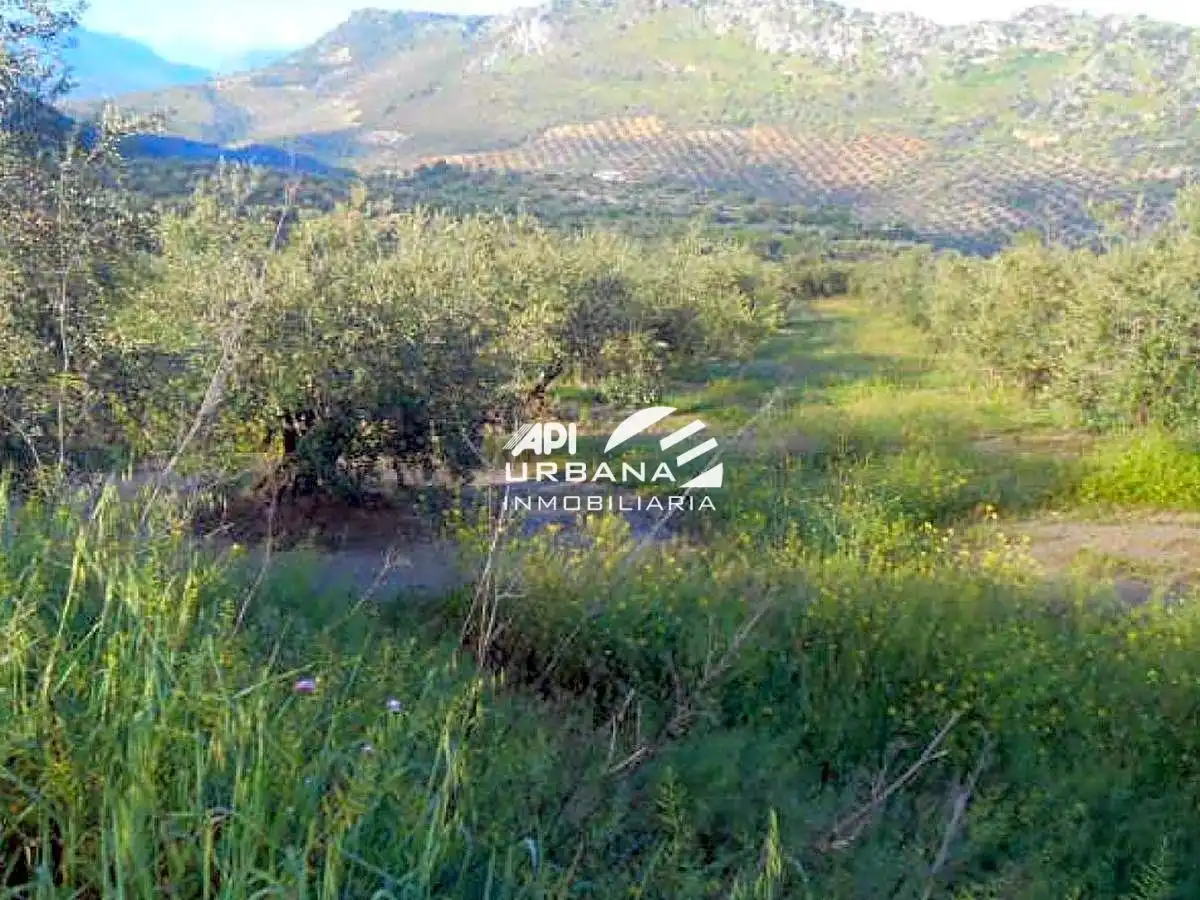 Residencial en venda en Priego de Córdoba