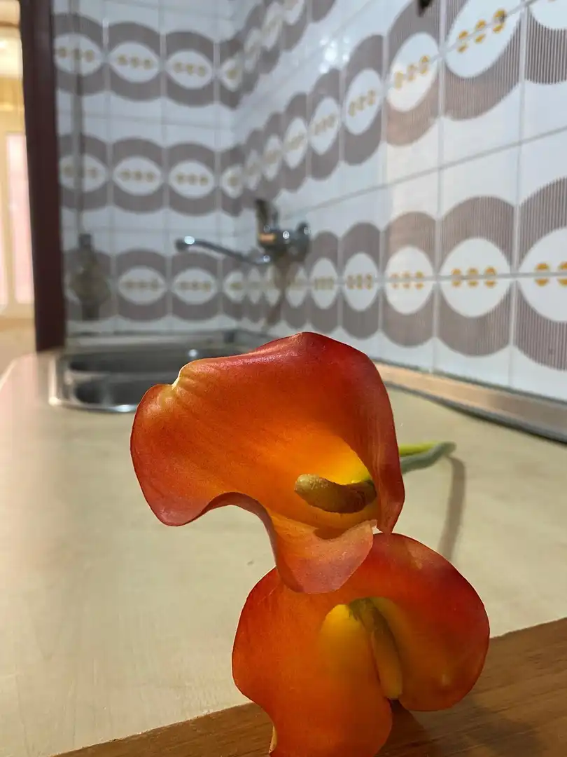 Piso con terraza en venta en Centro, imagen 9