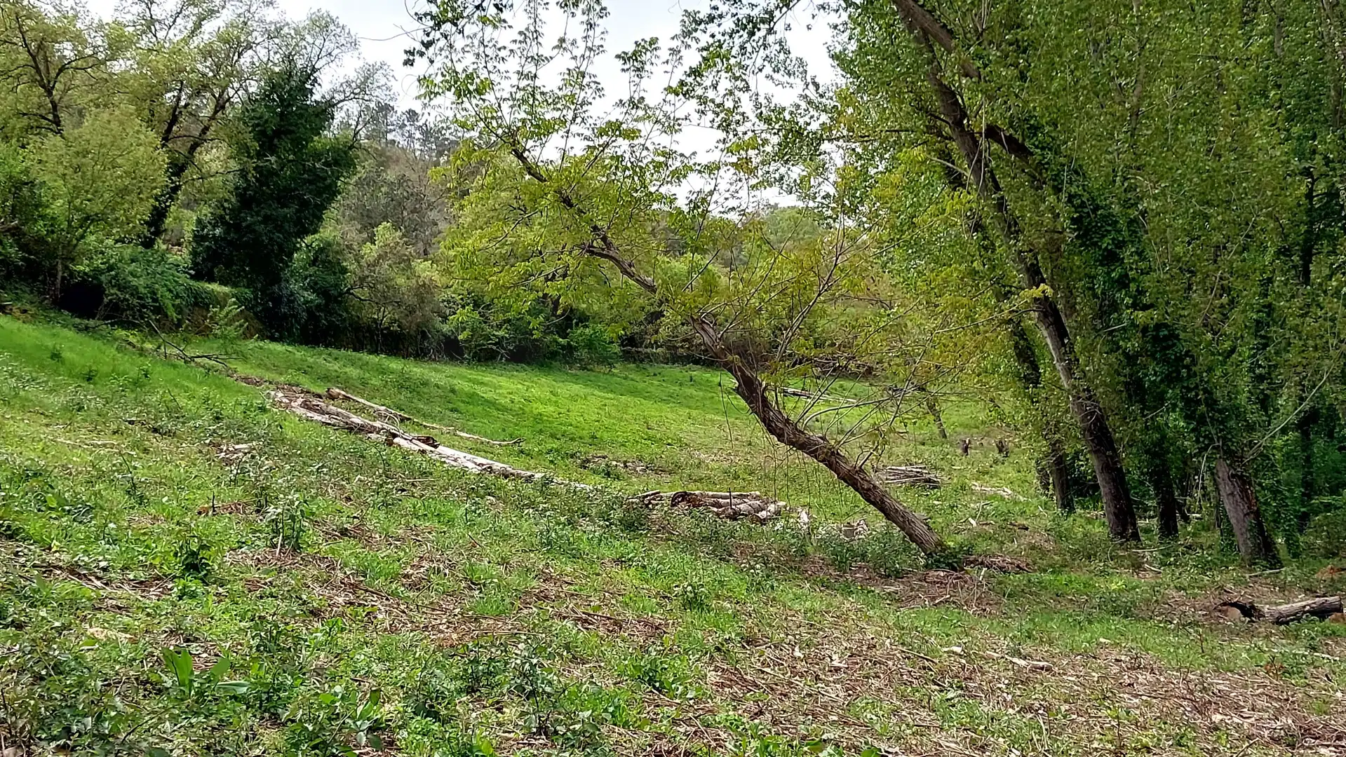 Terreni e lotti in vendita a Galaroza, imagen 16