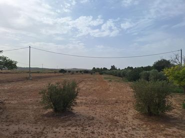 Wohnbaugrundstück zum Verkauf in Pedanías Norte