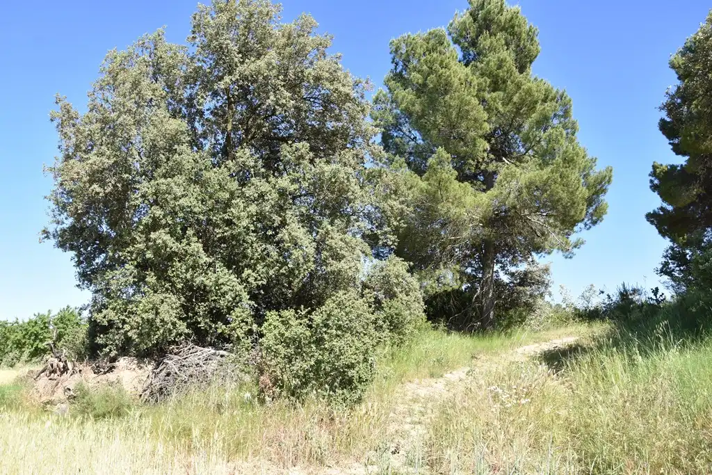 Terreni e lotti in vendita a Cretas, imagen 6